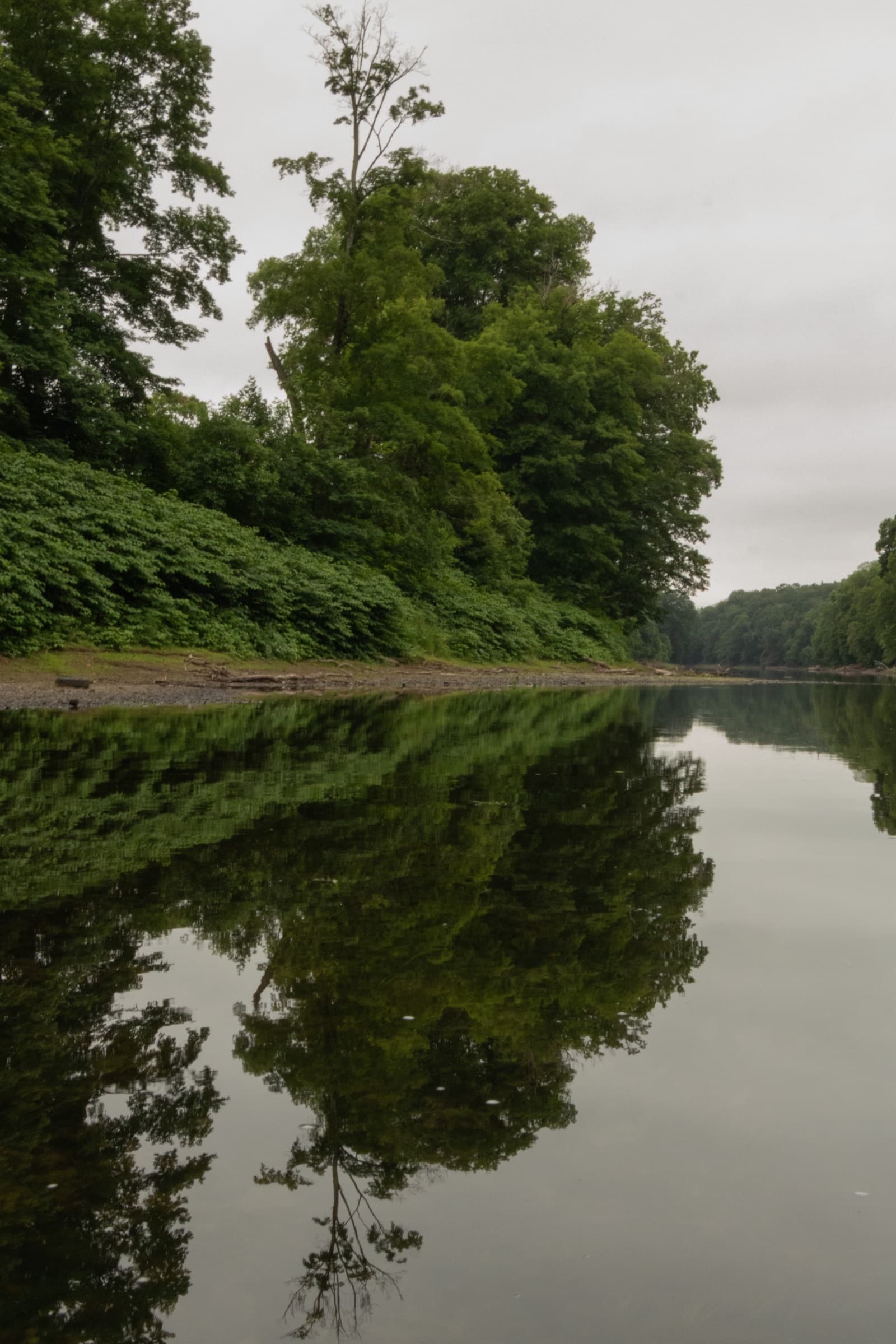 Crystal-clear Delaware River water reflecting the forested ridgeline